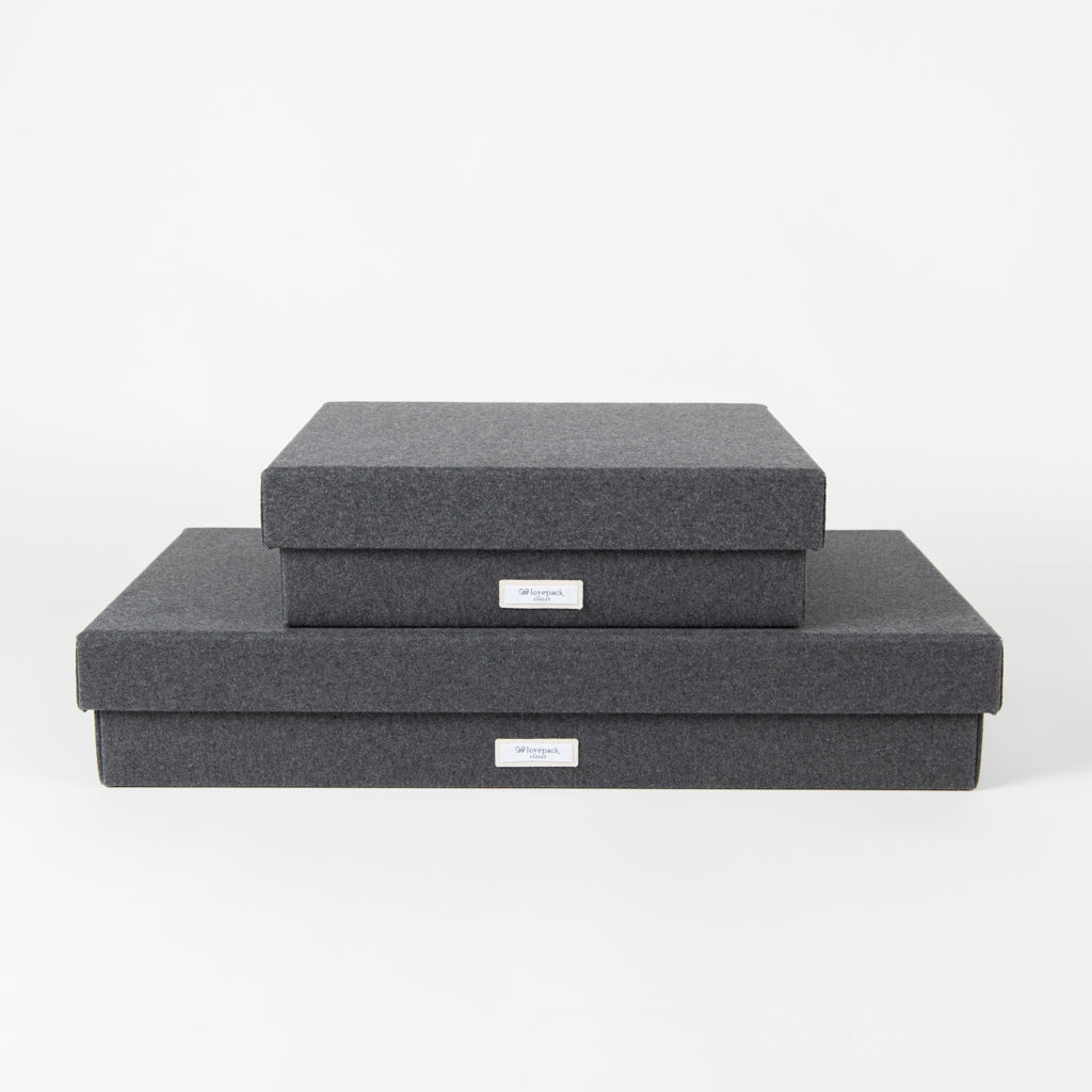 CLOSET - Set of 2 flannel wardrobe boxes